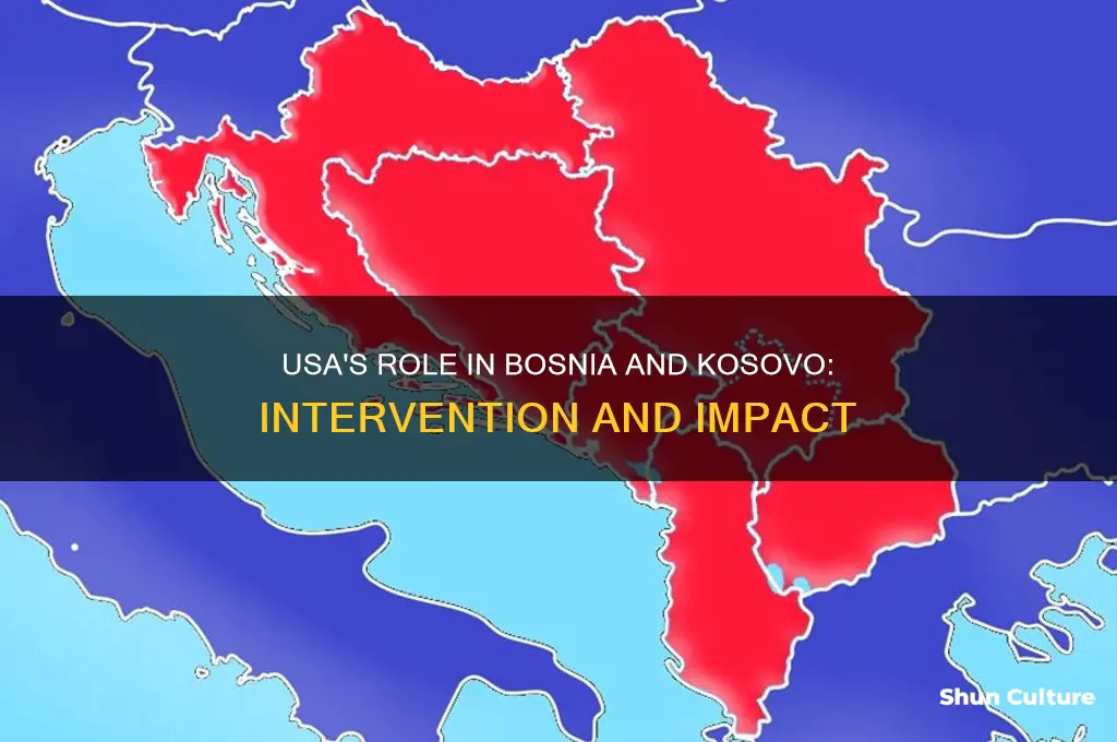 what was the usa involvment in bosnia a kosovo