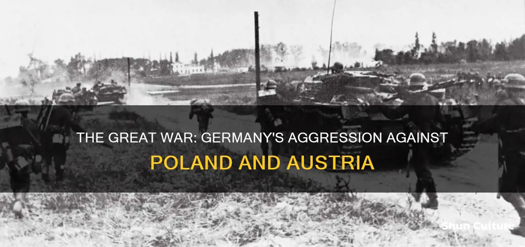 what was the war between germany and poland and austria