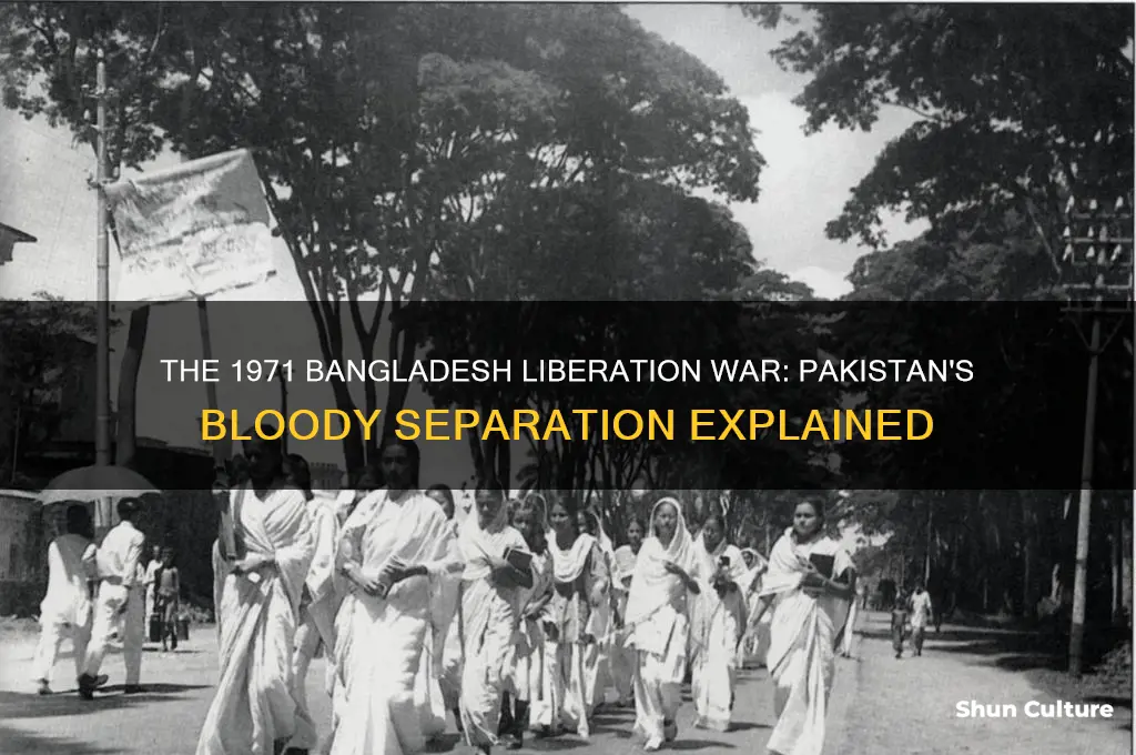 what was the war between pakistan and bangladesh