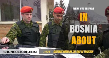 Understanding the Complex Causes and Consequences of Bosnia's Devastating War