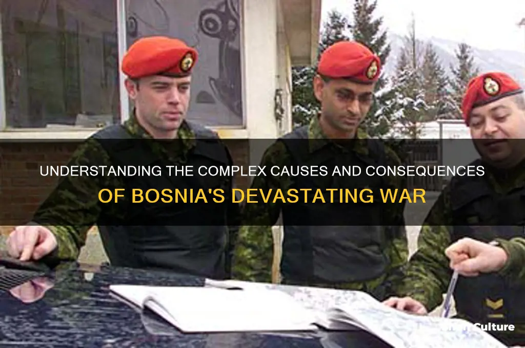what was the war in bosnia about