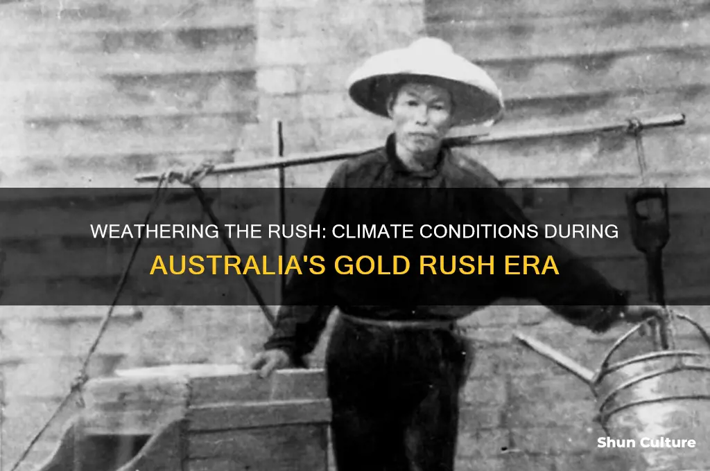 what was the weather like during the australian gold rush