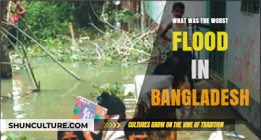 Bangladesh's Devastating Flood: The 1998 Catastrophe and Its Aftermath