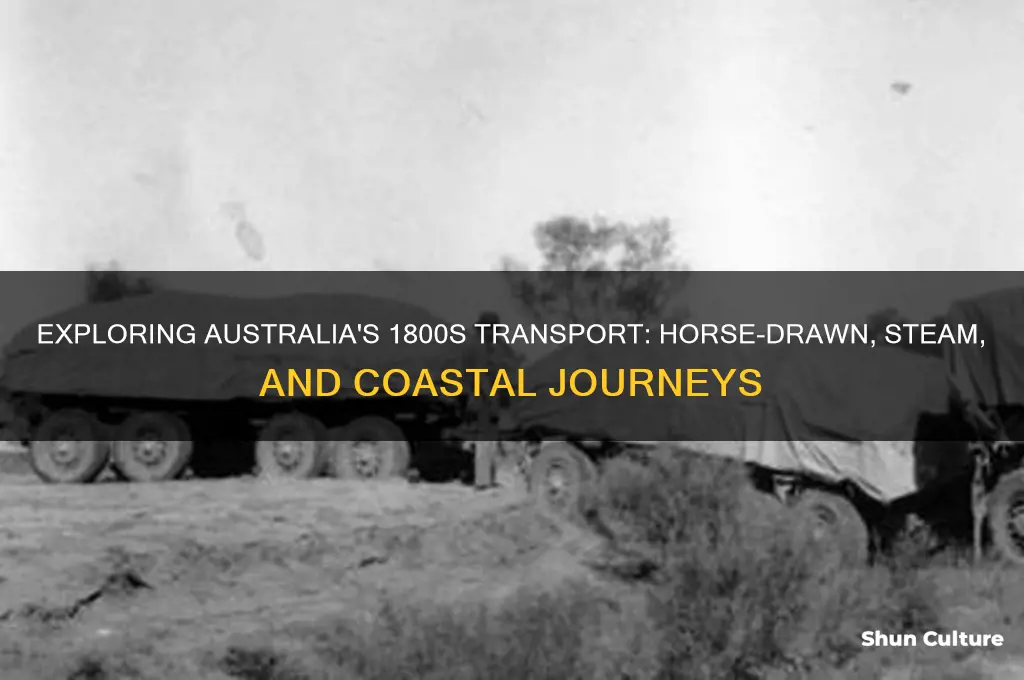 what was transport like in the 1800s in australia