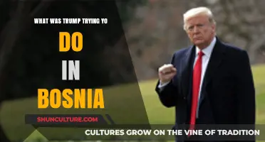 Trump's Bosnia Involvement: Unraveling His Intentions and Actions
