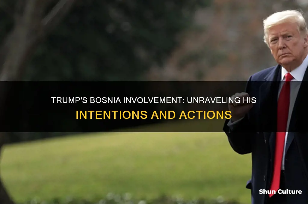 what was trump trying yo do in bosnia