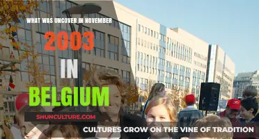 Unveiling the Truth: Belgium's November 2003 Revelations