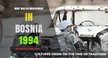 US Role in Bosnia 1994: Intervention, Peacekeeping, and Diplomacy