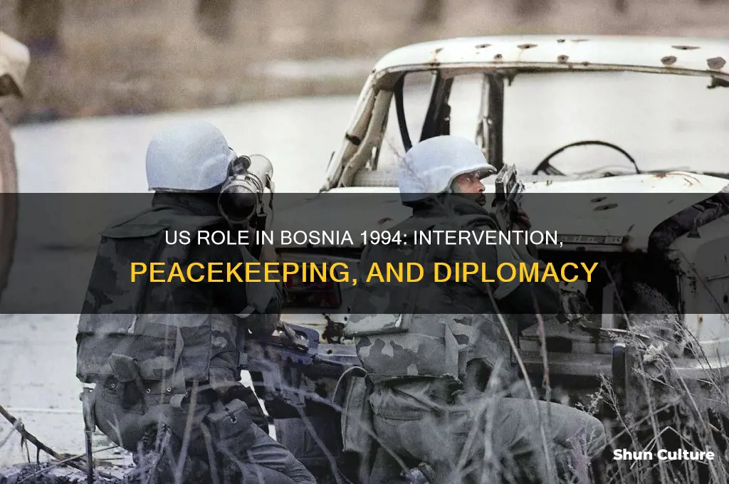 what was us involvement in bosnia 1994