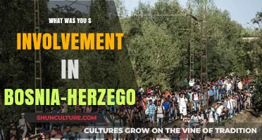My Role and Impact in Bosnia-Herzegovina's Complex History