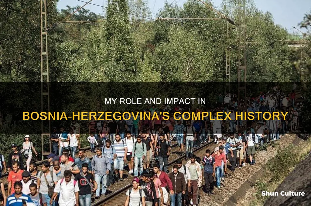what was you s involvement in bosnia-herzegovina