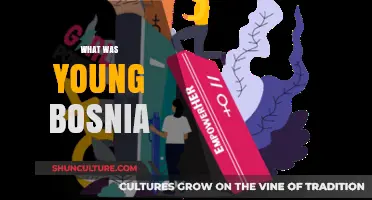Young Bosnia: Uncovering the Movement Behind Gavrilo Princip's Legacy
