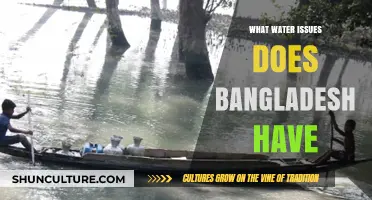 Bangladesh's Water Crisis: Challenges, Flooding, Salinity, and Access Issues