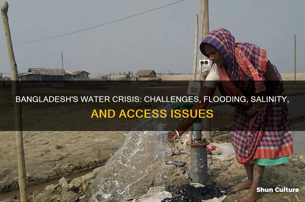 what water issues does bangladesh have