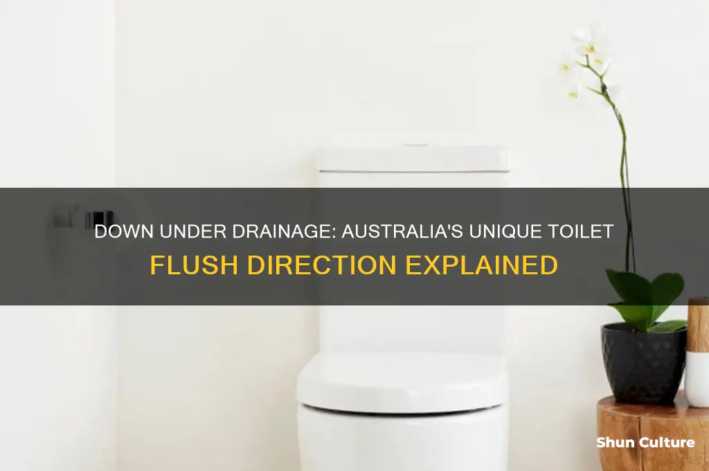 what way water go down toilet in australia