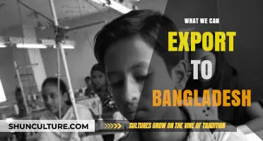 Exploring Profitable Export Opportunities to Bangladesh: Products and Strategies