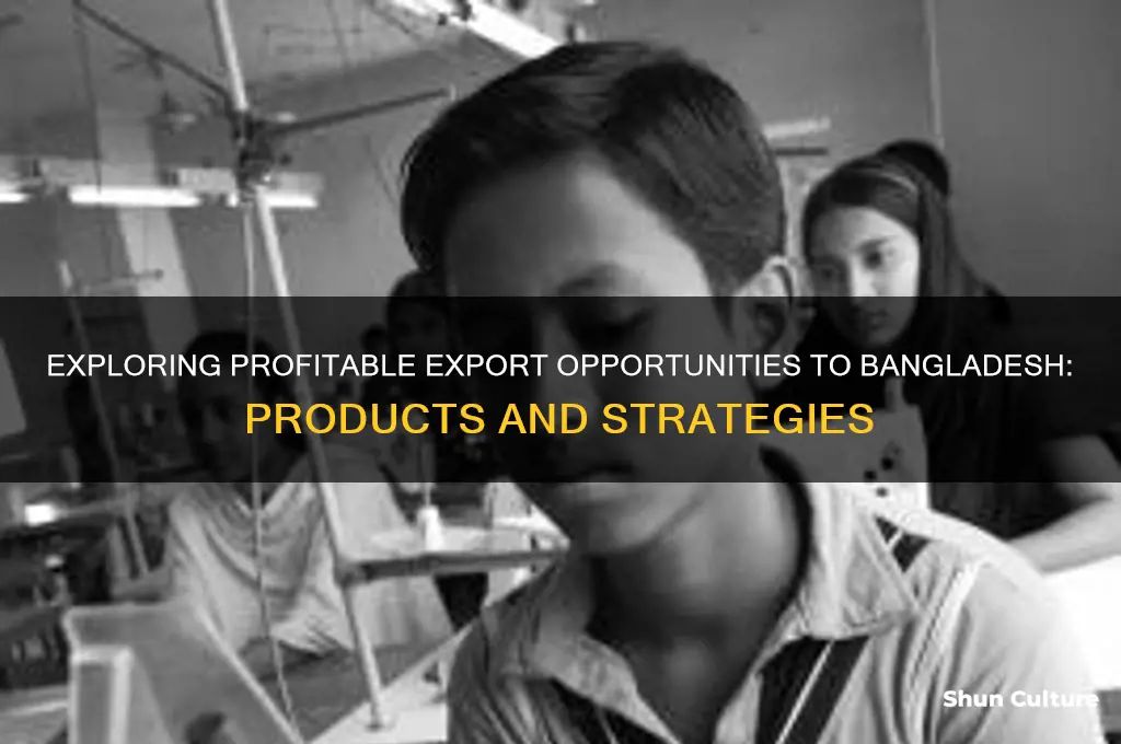 what we can export to bangladesh