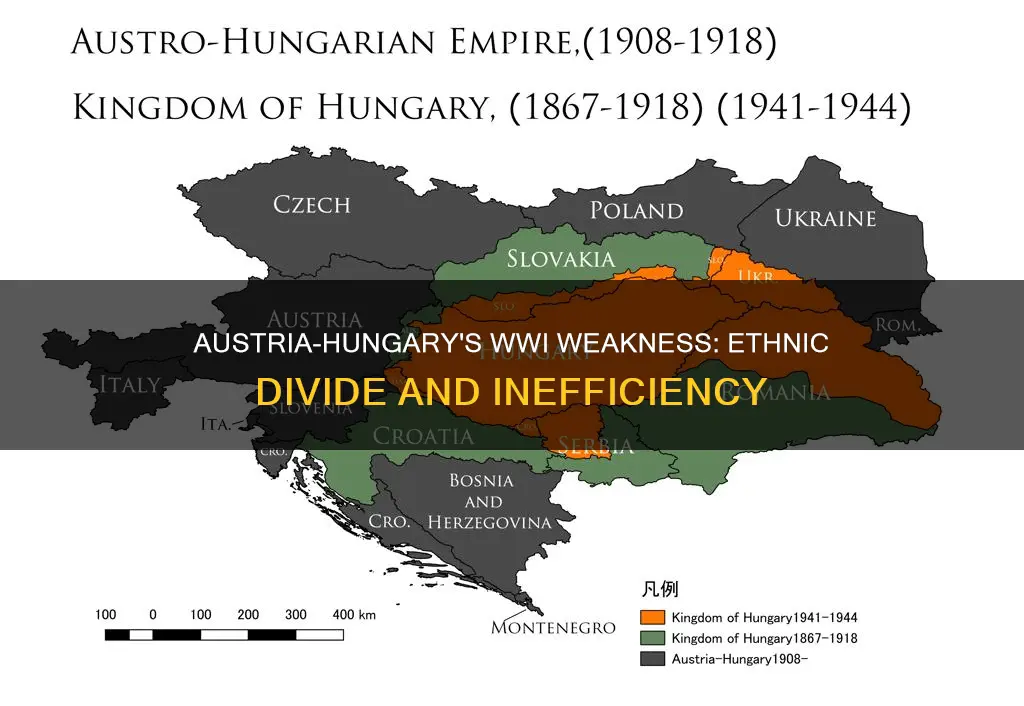 what weakness caused austria-hungary to struggle in world war i