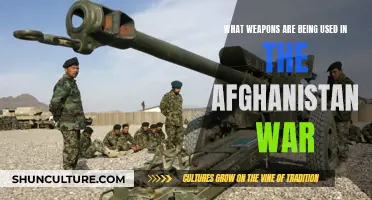 Weapons of War: A Deadly Arsenal in Afghanistan's Conflict