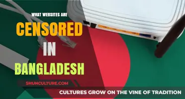 Exploring Bangladesh's Internet Censorship: Which Websites Are Blocked?
