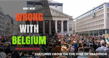 Unraveling Belgium's Challenges: A Deep Dive into Recent Struggles