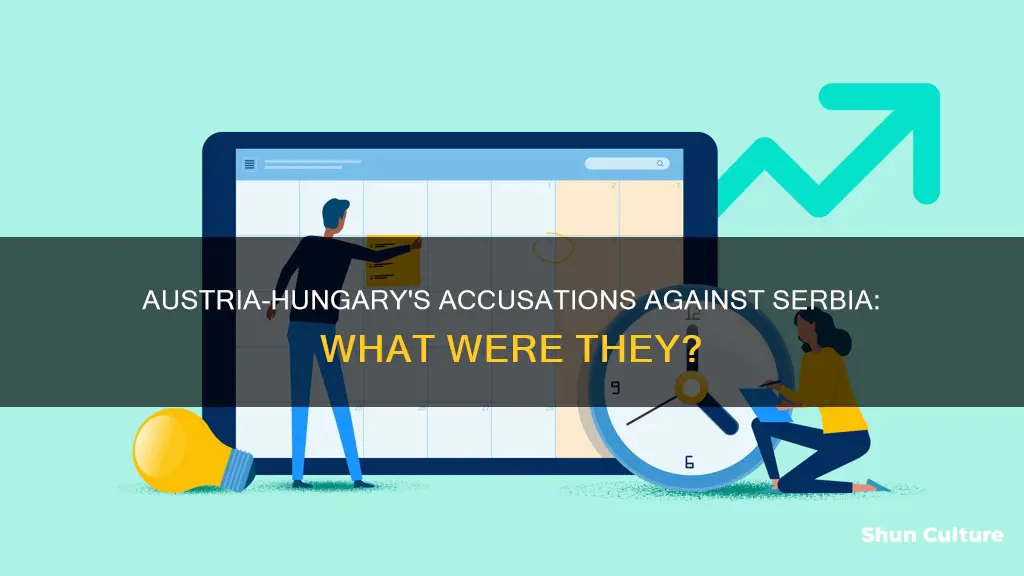 what were accusations made by austria-hungary to serbia