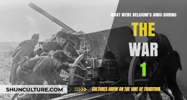 Belgium's Ambitions and Strategies in World War I: A Historical Analysis