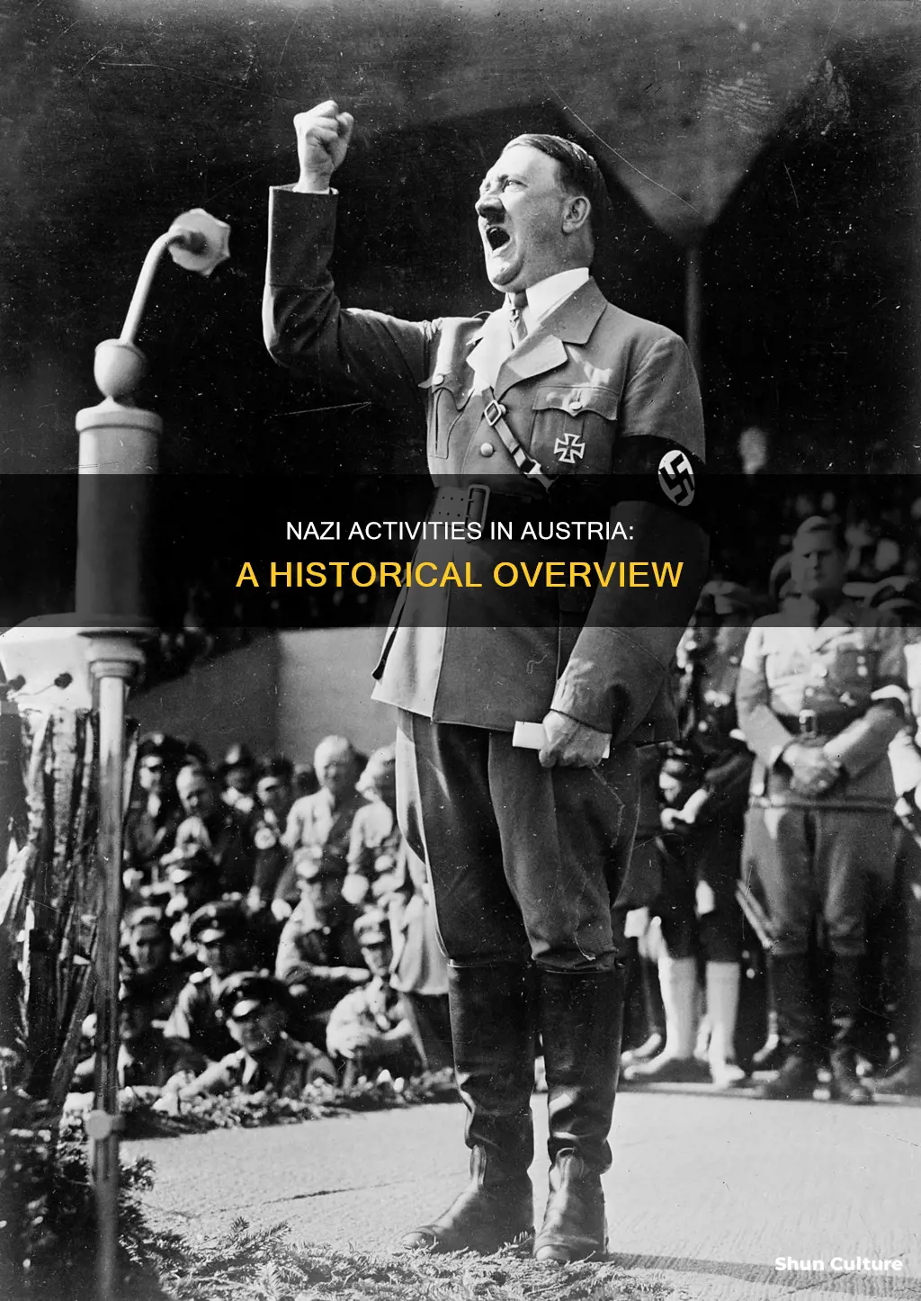 what were nazis doing in austria