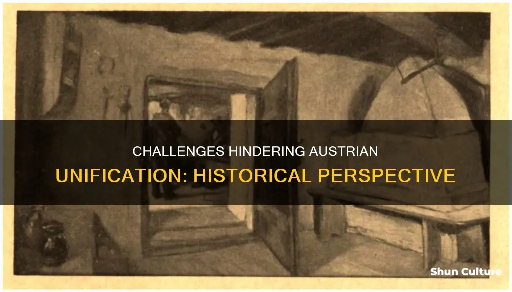 what were some of the issues preventing unification in austria