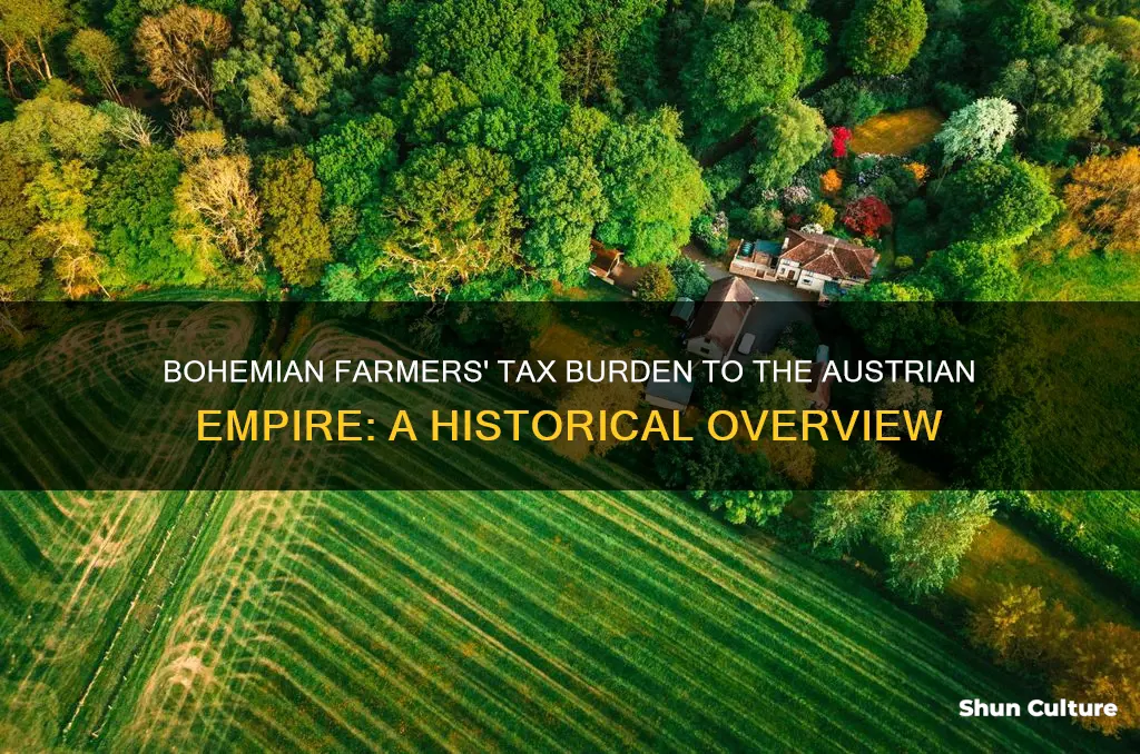 what were taxes bohemian farmers to austrian monarchy