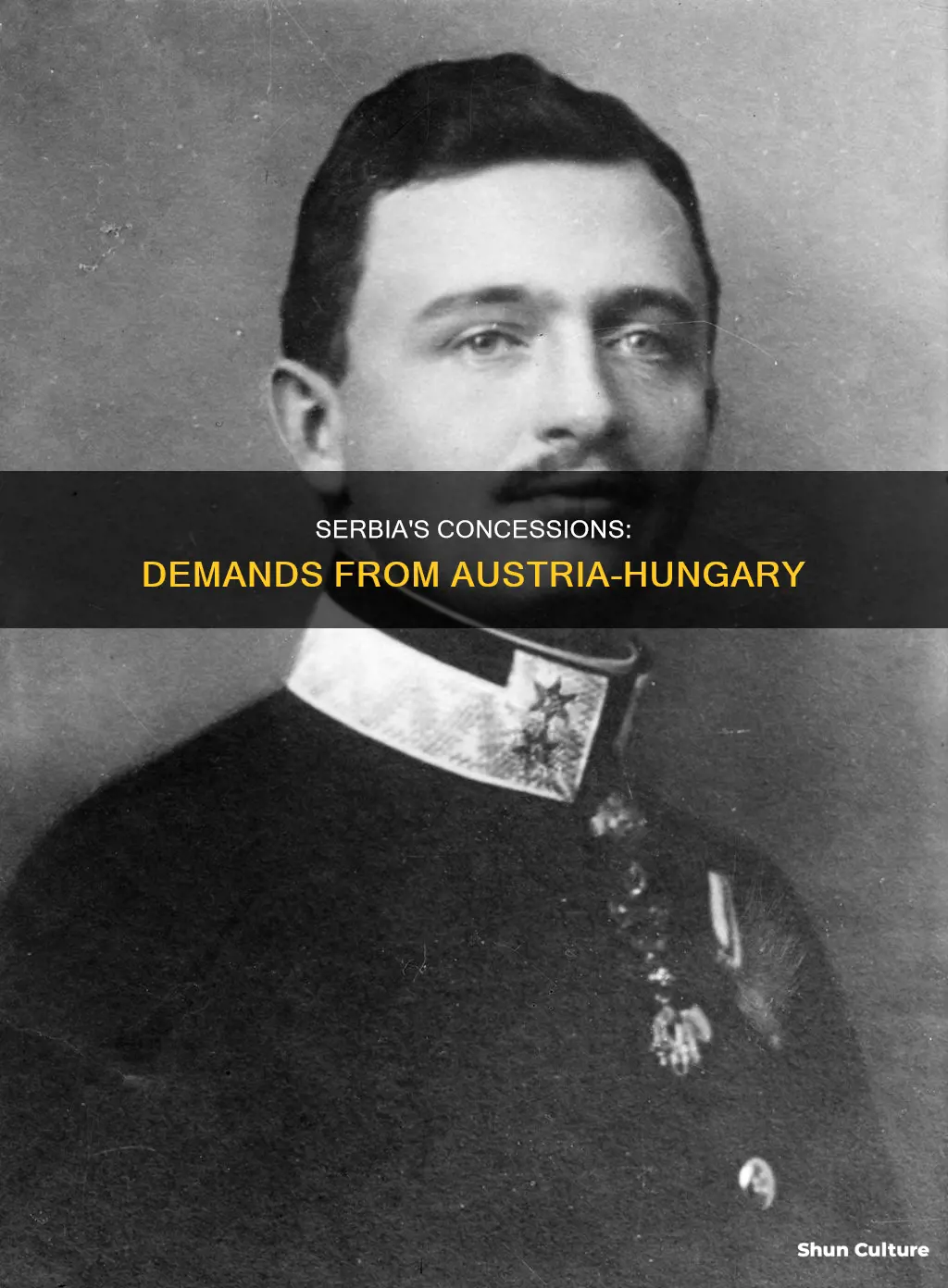 what were the 10 demands from austria-hungary to serbia