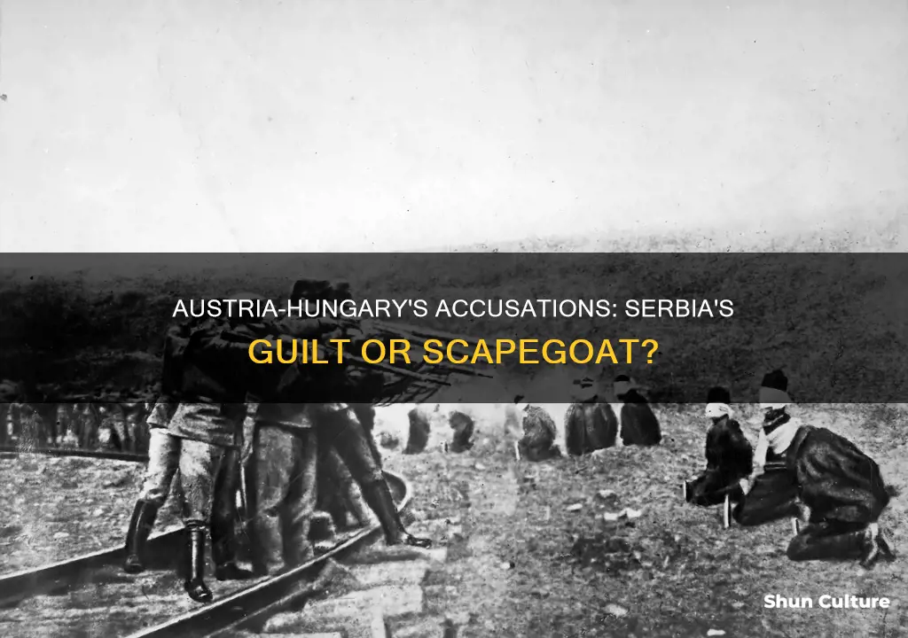 what were the accusations made by austria-hungary to serbia dbq