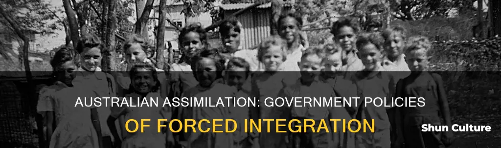 what were the australian government policies of assimilation