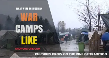 Life in Bosnian War Camps: Survival, Suffering, and Resilience