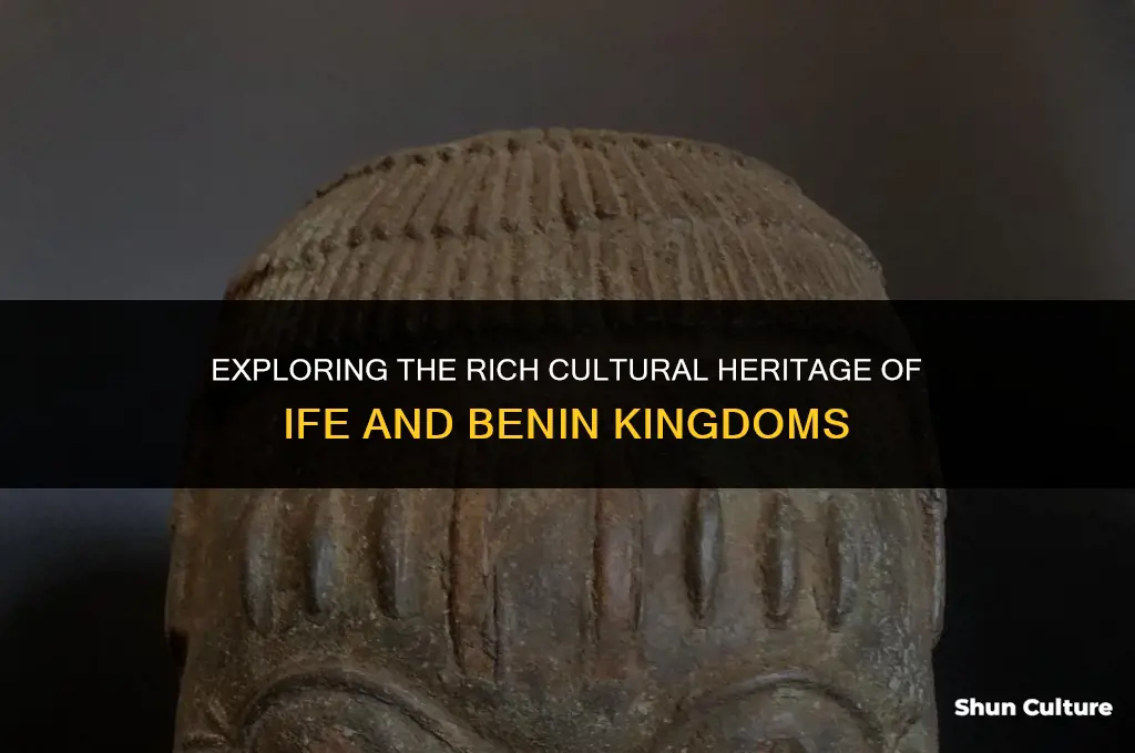 what were the characteristics of the ife and benin kingdoms