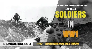 Australian Soldiers in WW1: Enduring Harsh Conditions on the Front Lines