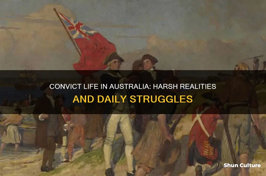 what were the conditions like for convicts in australia