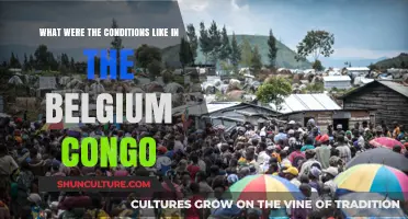 Exploring the Harsh Realities of Life in the Belgian Congo