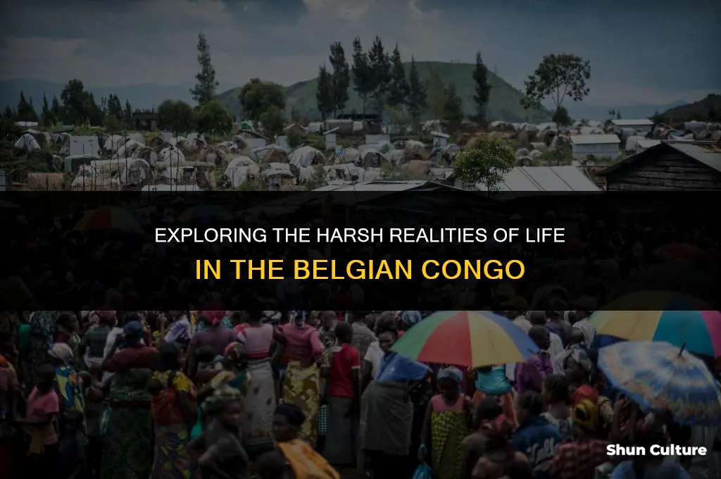 what were the conditions like in the belgium congo