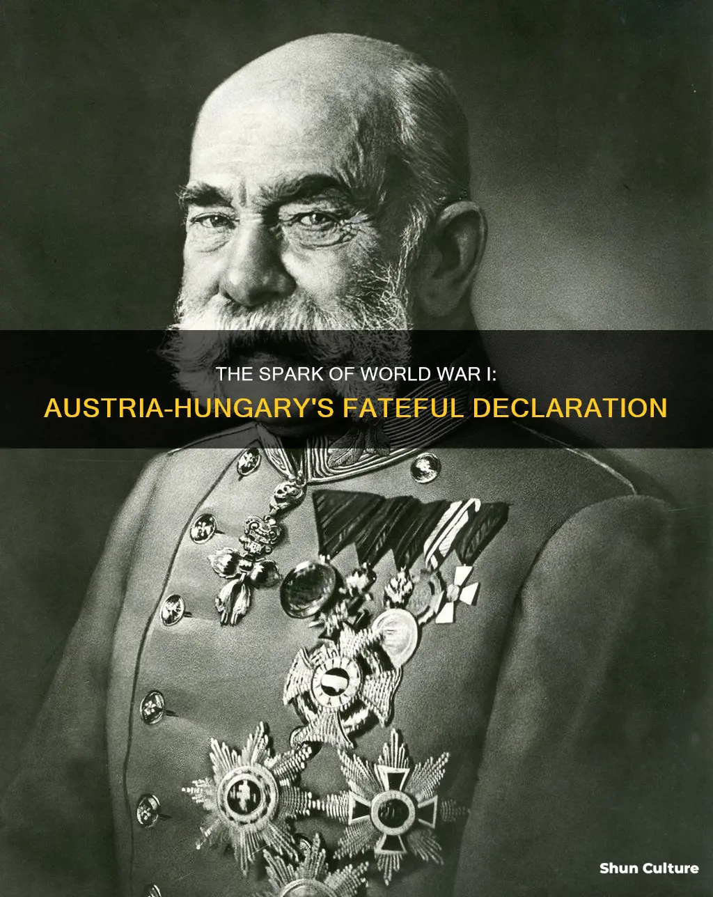 what were the consequencces of austria-hungary declaring ww1