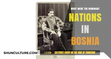 Dominant Nations Shaping Bosnia's History: A Comprehensive Overview