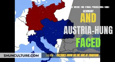 The Downfall of Germany and Austria-Hungary: Final Problems