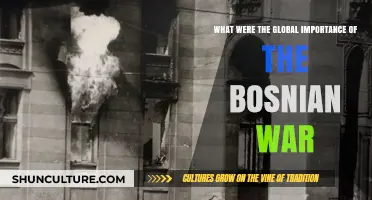 The Bosnian War's Global Impact: Lessons and Legacy Explored