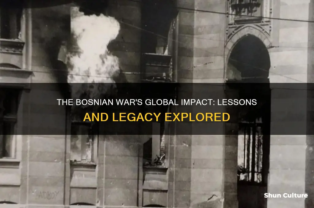 what were the global importance of the bosnian war