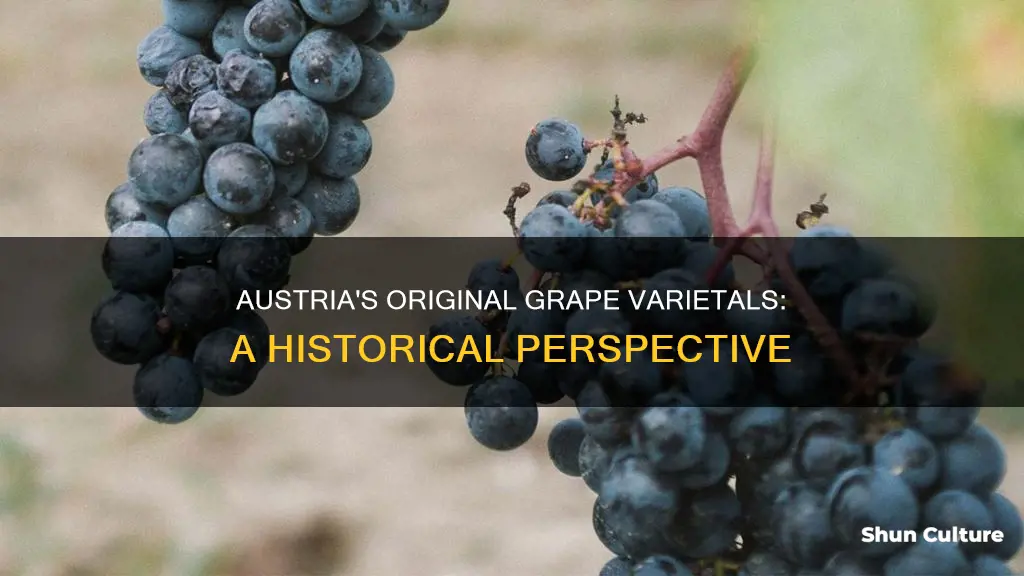 what were the original grape varietals in austria