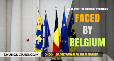 Navigating Turbulence: Belgium's Political Challenges in the Modern Era