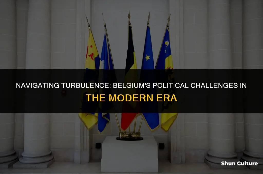 what were the political problems faced by belgium