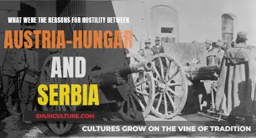 A Complex Web: Austria-Hungary vs. Serbia's Hostility Explored