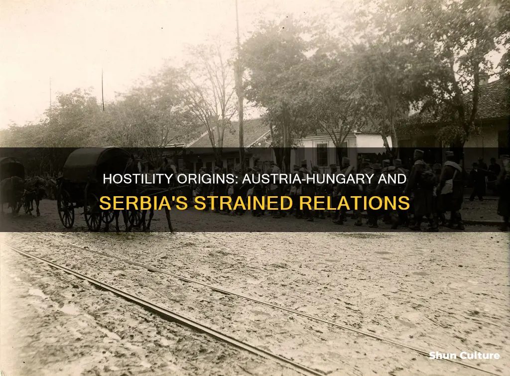 what were the reasons for hostility between austria-hungary and serbia