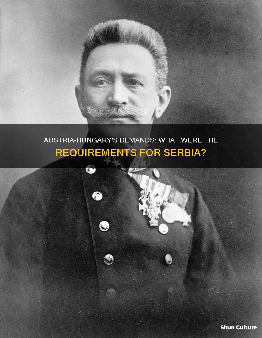 what were the requirements that austria hungary demands to serbia